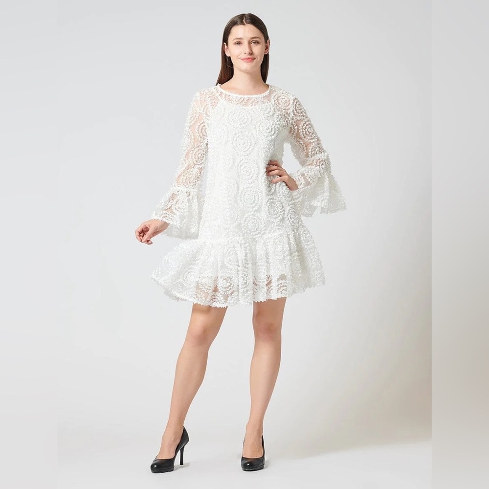 Flounce Sleeve Sheer Trapeze Dress